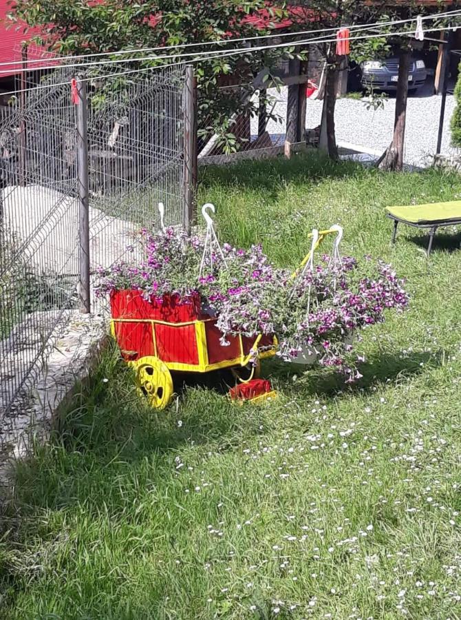 Pensiunea Io-Mara Vatra Dornei Dış mekan fotoğraf